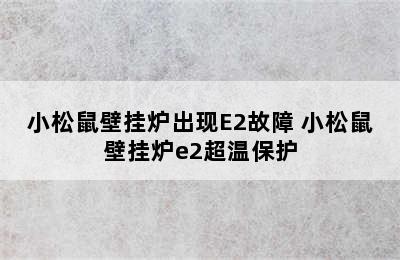 小松鼠壁挂炉出现E2故障 小松鼠壁挂炉e2超温保护